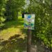 elfenpad, elfenwandeling, innerlijke magie, spirituele wandeling, natuurbeleving, magisch pad, retraite Nederland, helende natuur, stiltewandeling, bewustzijnspad, zen wandeling, transformatiepad, natuurcoaching, intuïtief wandelen, spirituele retraite, vrouwenretraite, elfen energie, verbinding met jezelf, heling in de natuur, zen ranch