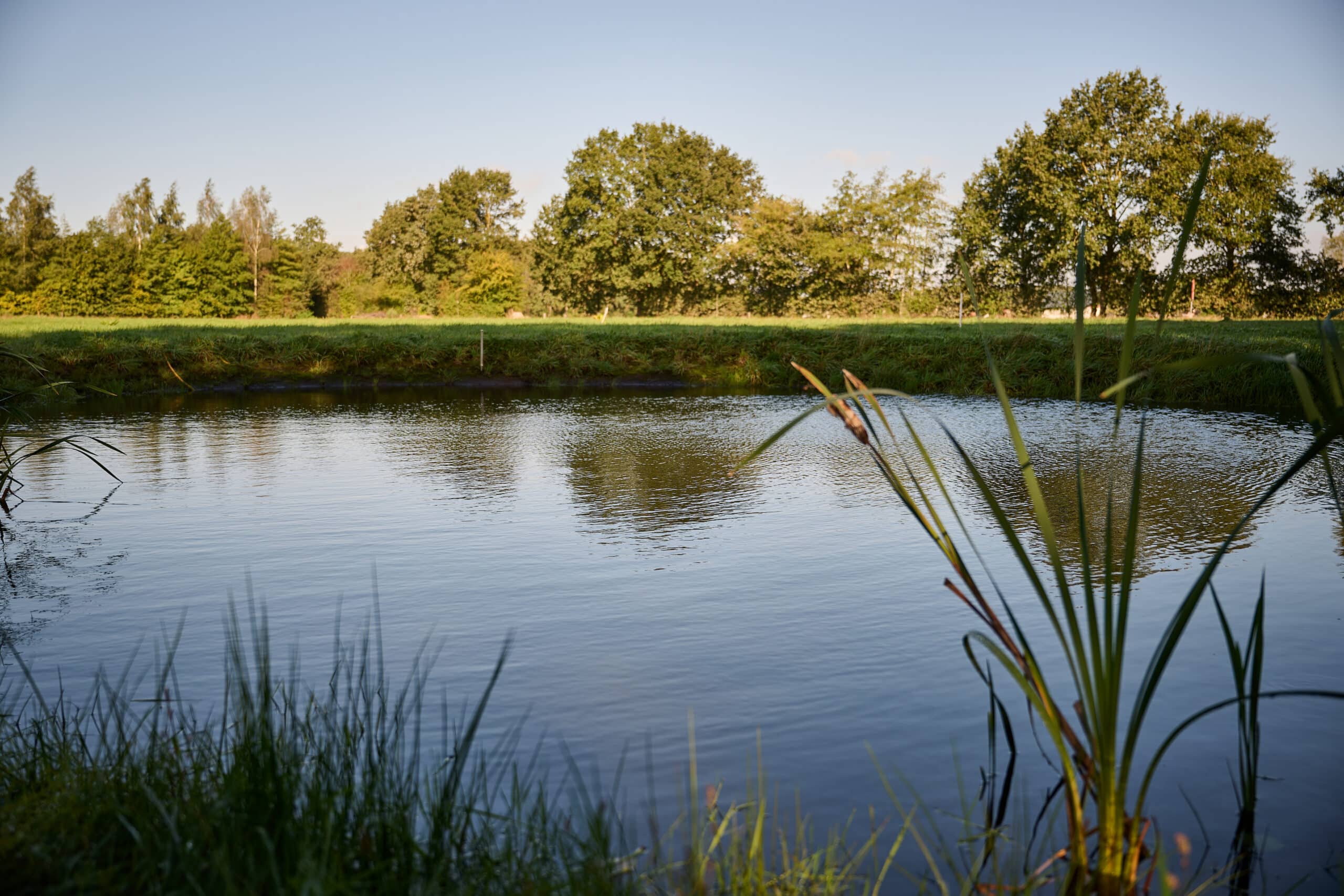 Gewoon kamperen op Zen Ranch